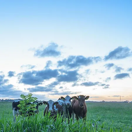 דירה Hw Appt 10 *