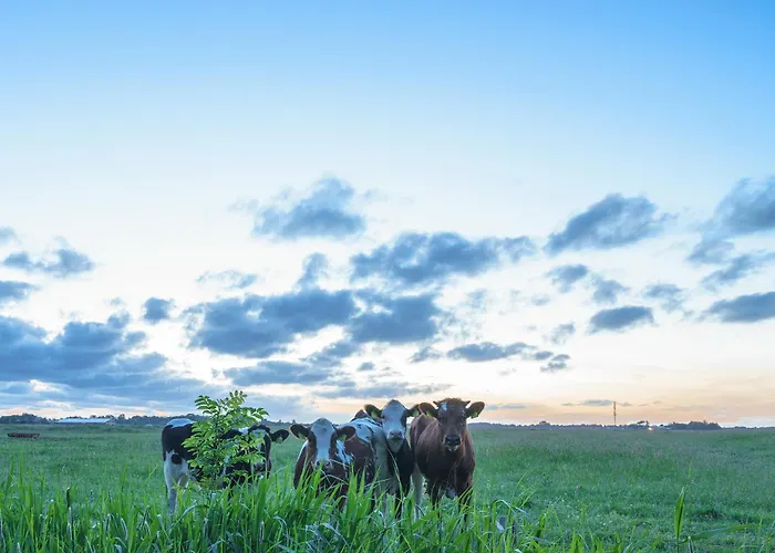 Lejlighed Hw Appt 10 *